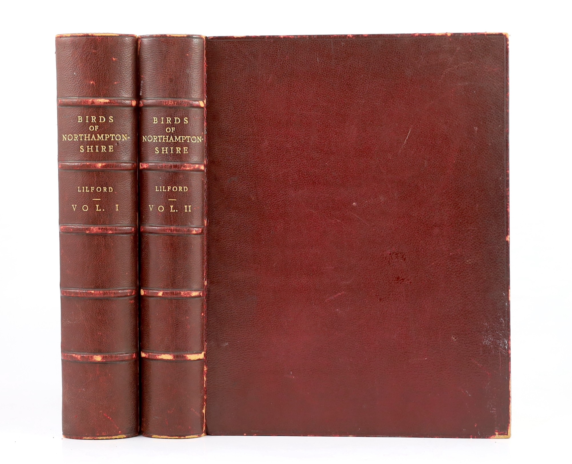 Lilford, Lord - Notes on the Birds of Northamptonshire and Neighbourhood, 2 vols. frontis and 67 photogravure and other plates (by Thorburn and Lodge), folded map; contemp. maroon morocco, gilt lettered panelled spines,